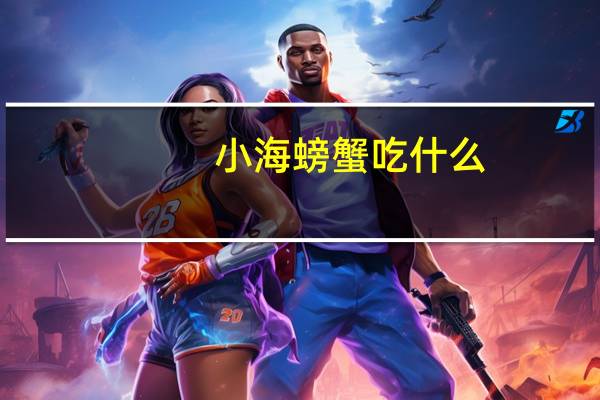 小海螃蟹吃什么