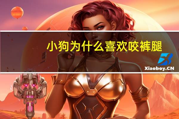 小狗为什么喜欢咬裤腿