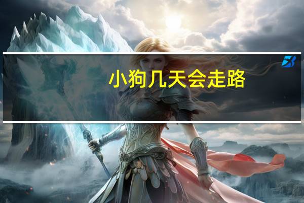 小狗几天会走路