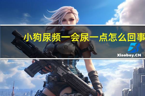 小狗尿频一会尿一点怎么回事