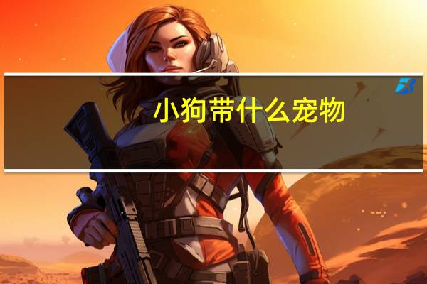 小狗带什么宠物