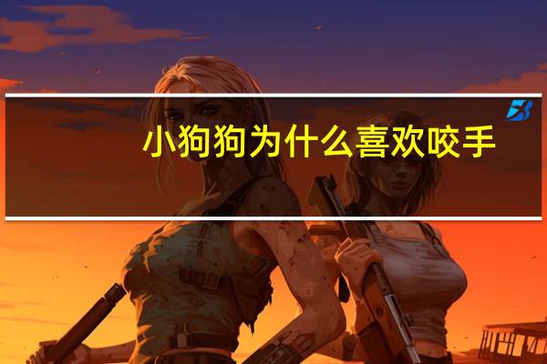 小狗狗为什么喜欢咬手