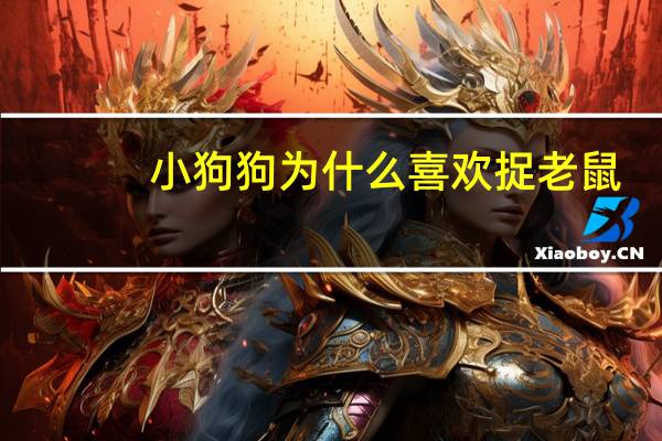 小狗狗为什么喜欢捉老鼠