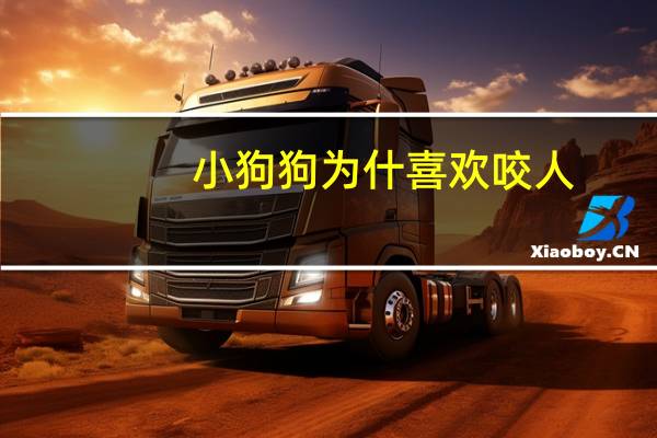 小狗狗为什喜欢咬人