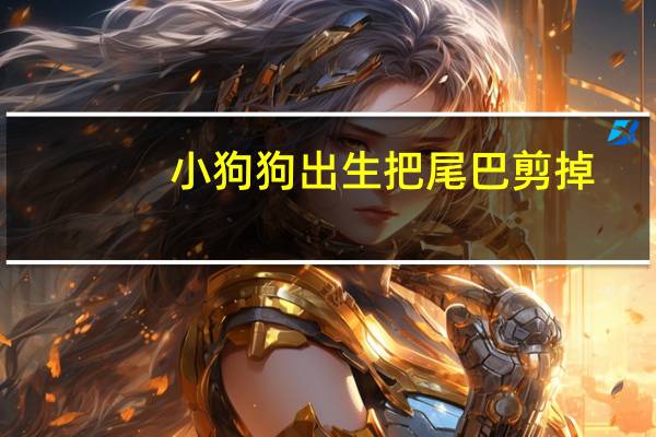 小狗狗出生把尾巴剪掉