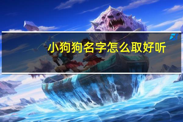 小狗狗名字怎么取好听