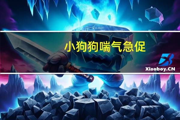 小狗狗喘气急促