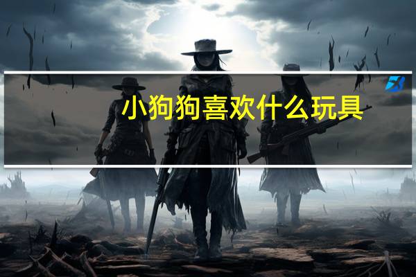 小狗狗喜欢什么玩具
