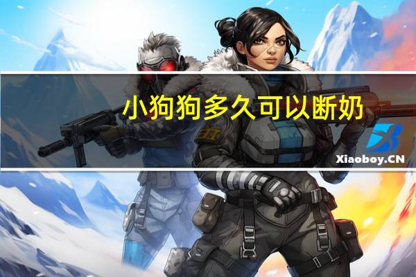 小狗狗多久可以断奶