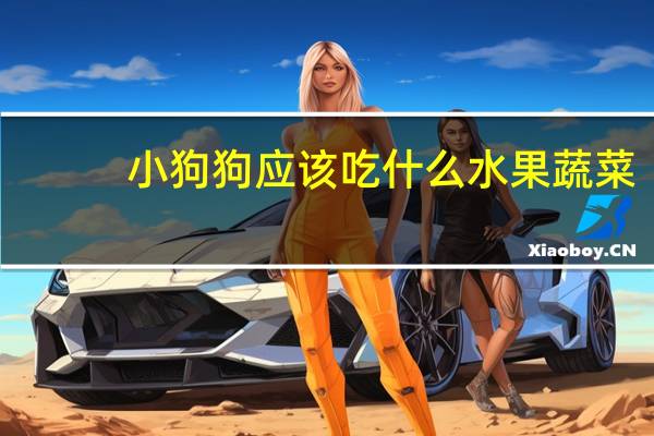 小狗狗应该吃什么水果蔬菜