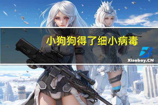 小狗狗得了细小病毒