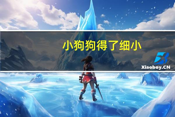 小狗狗得了细小