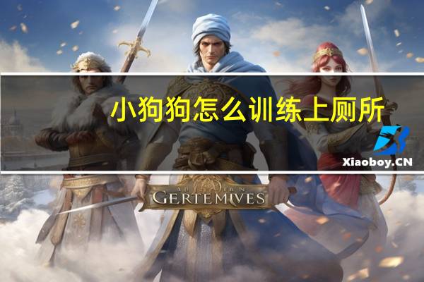 小狗狗怎么训练上厕所