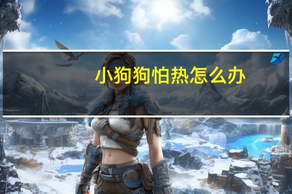 小狗狗怕热怎么办