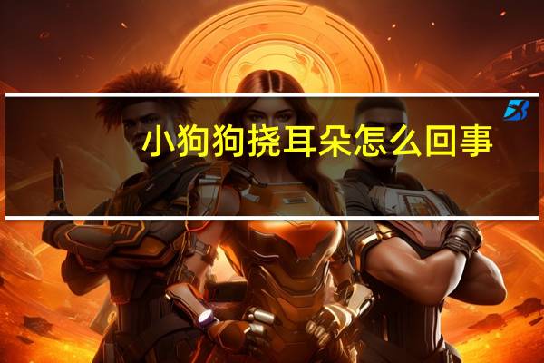 小狗狗挠耳朵怎么回事