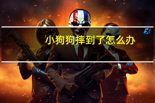 小狗狗摔到了怎么办