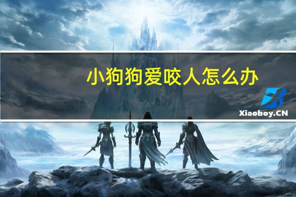 小狗狗爱咬人怎么办