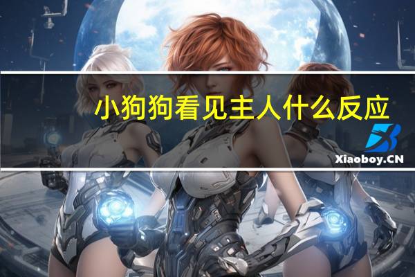 小狗狗看见主人什么反应