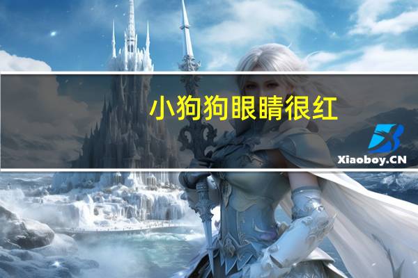 小狗狗眼睛很红