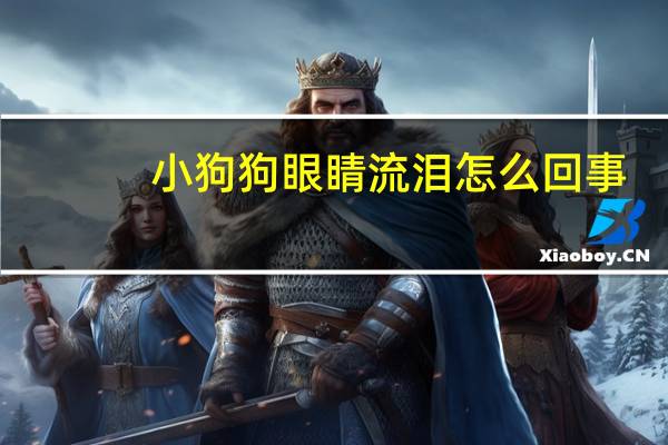 小狗狗眼睛流泪怎么回事