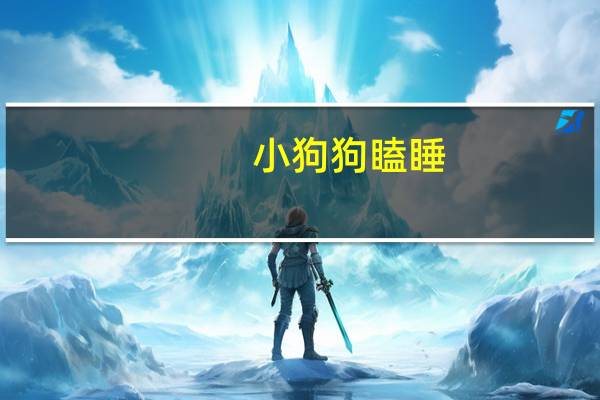 小狗狗瞌睡