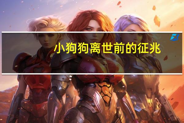 小狗狗离世前的征兆