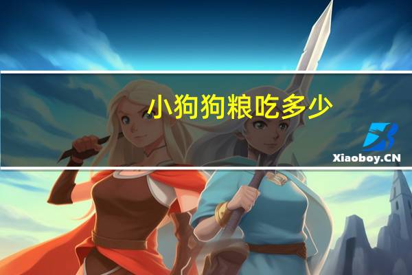 小狗狗粮吃多少