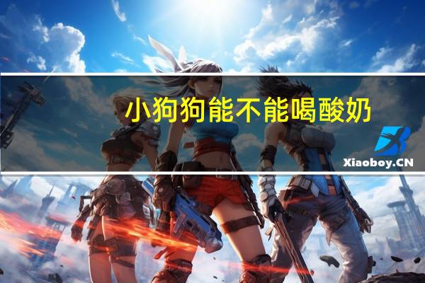 小狗狗能不能喝酸奶