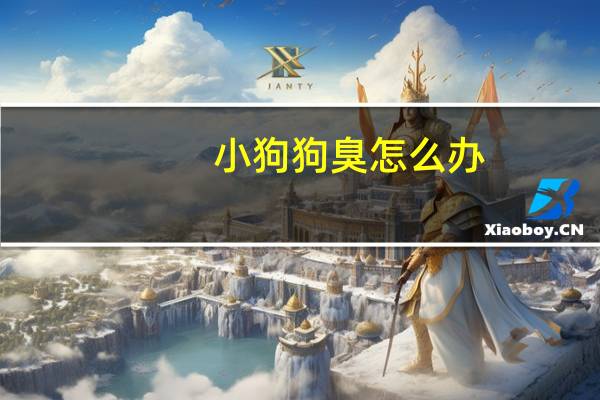 小狗狗臭怎么办