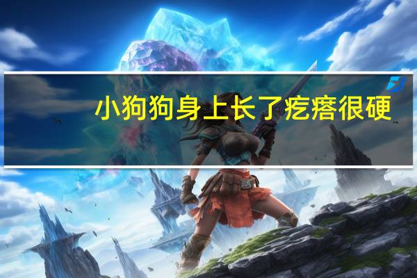 小狗狗身上长了疙瘩很硬
