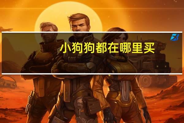 小狗狗都在哪里买