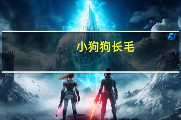 小狗狗长毛