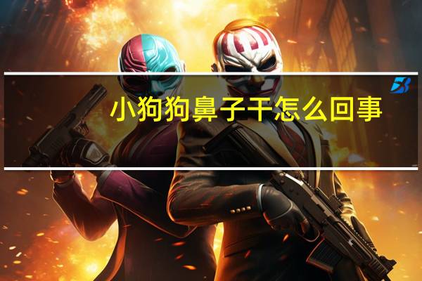 小狗狗鼻子干怎么回事