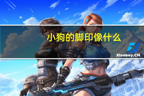 小狗的脚印像什么