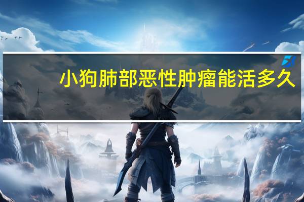 小狗肺部恶性肿瘤能活多久