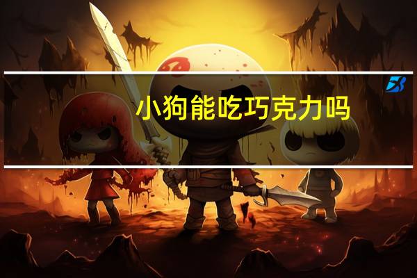 小狗能吃巧克力吗