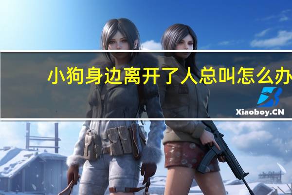小狗身边离开了人总叫怎么办
