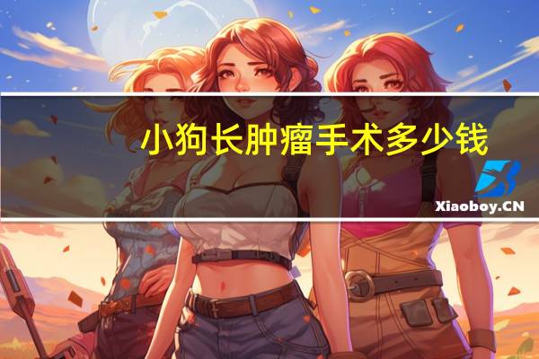 小狗长肿瘤手术多少钱