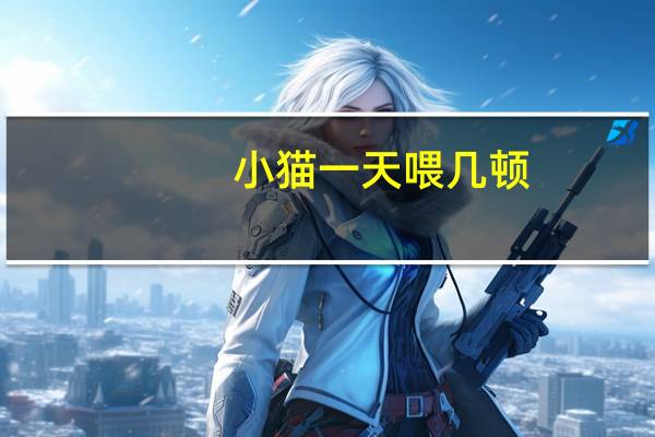 小猫一天喂几顿