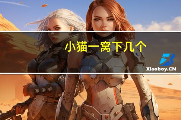 小猫一窝下几个