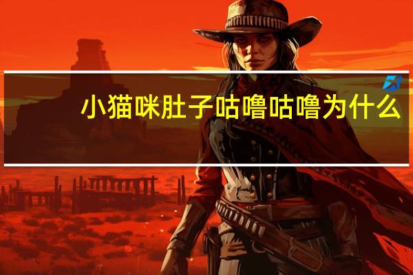 小猫咪肚子咕噜咕噜为什么