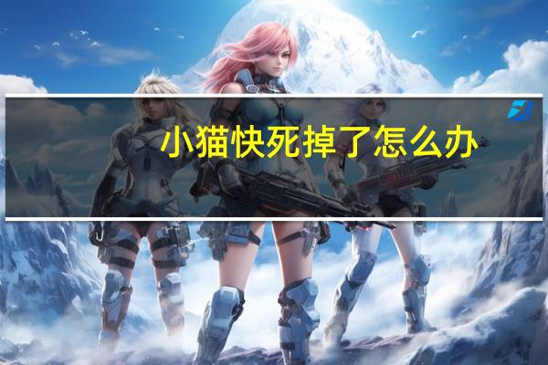 小猫快死掉了怎么办