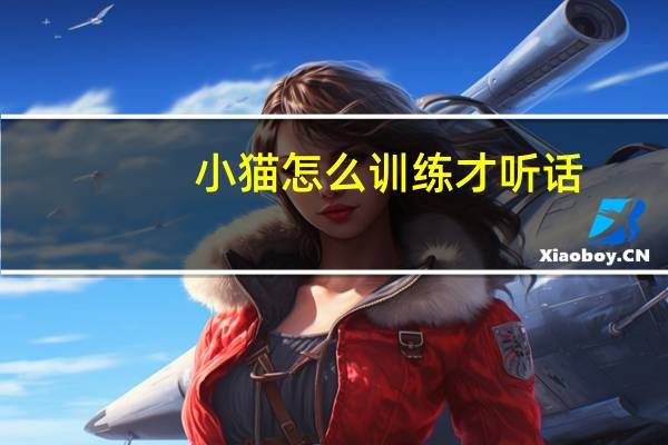 小猫怎么训练才听话