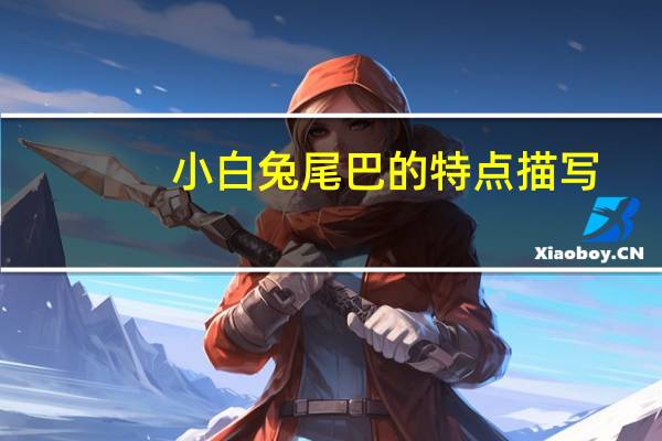 小白兔尾巴的特点描写