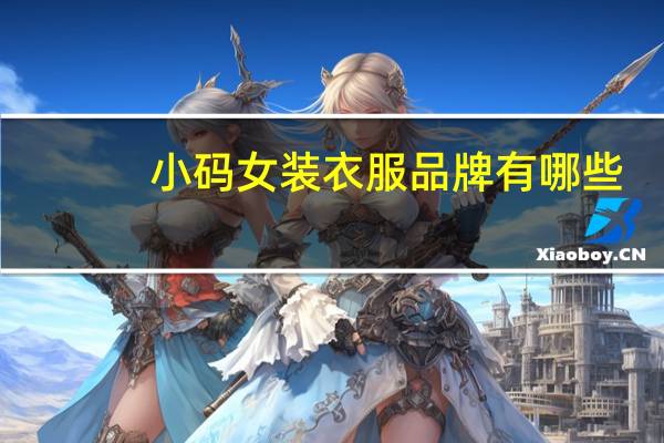 小码女装衣服品牌有哪些