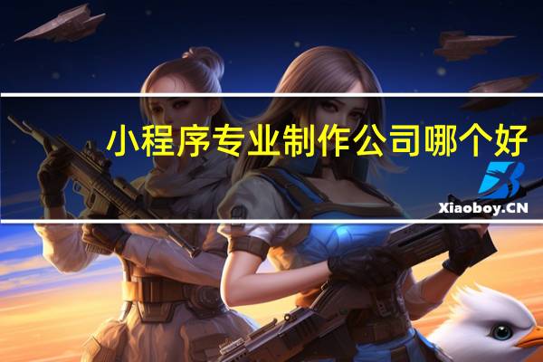 小程序专业制作公司哪个好