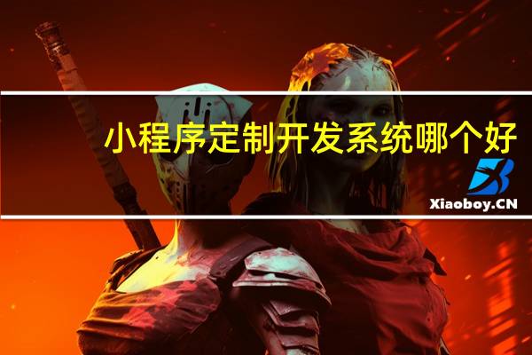 小程序定制开发系统哪个好
