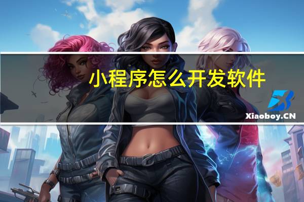 小程序怎么开发软件