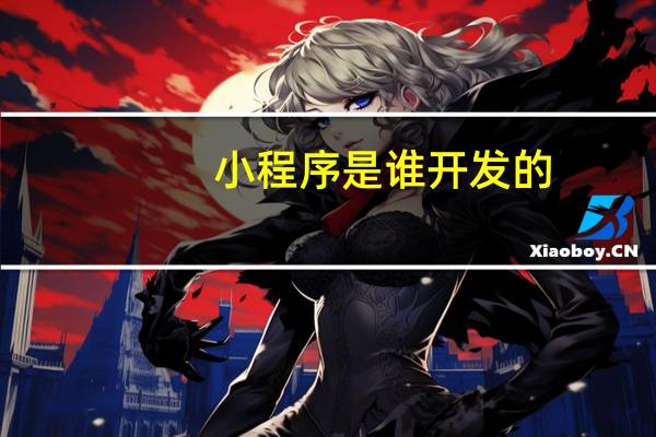 小程序是谁开发的