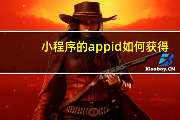 小程序的appid如何获得